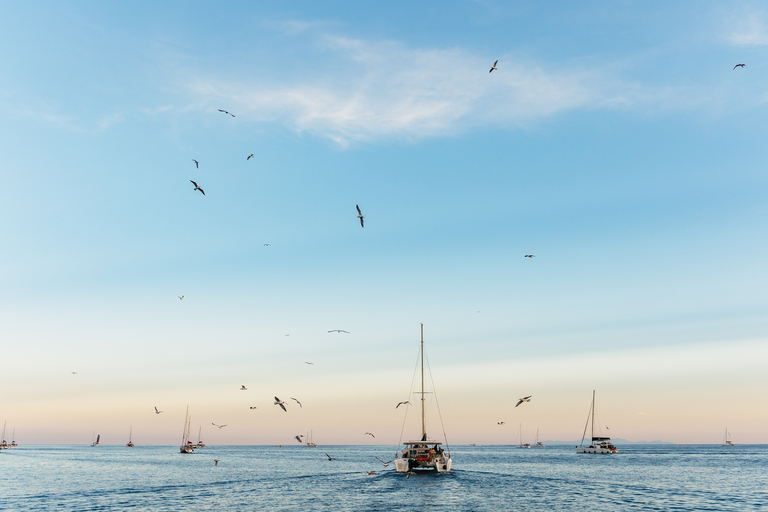 Santorin : Croisière en catamaran avec repas et boissonsCroisière matinale premium avec BBQ et boissons