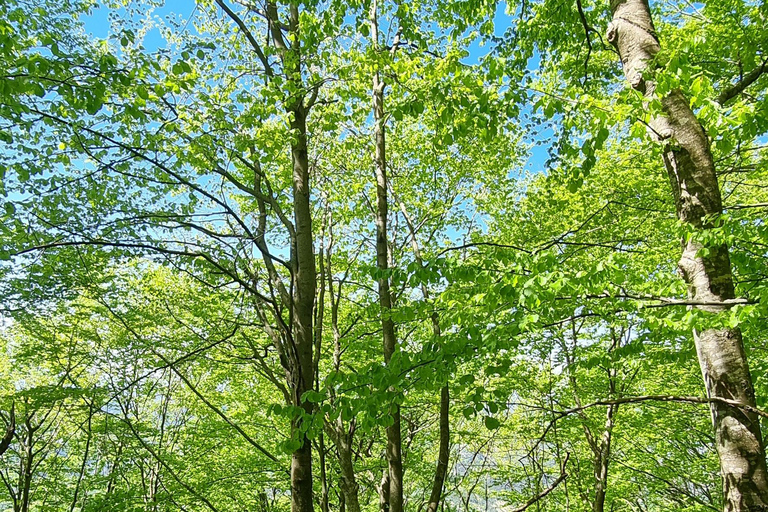 Mount Tomorri summit,hiking on the Holy Mountain