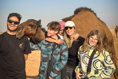 Riyadh: Camel Farm Visit in Heart Of The Desert