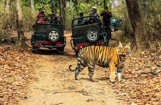 Von Kathmandu/Pokhara: 2-, 3- oder 4-tägige Chitwan-Dschungelsafari