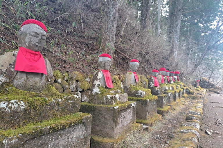 From Tokyo: Nikko UNESCO Sites Private English Guided Tour