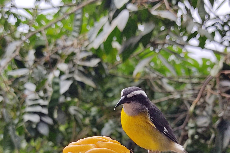 Quito: 2-Day Mindo Cloud Forest Adventure