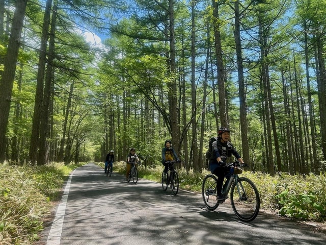 Nikko: Kegon Falls & Lake Chuzenji 3-Hour E-Bike Tour