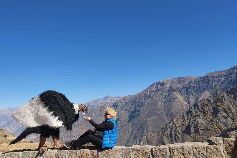 Excursão ao Canyon de Colca com café da manhã e almoço