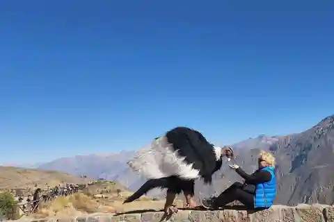 Escursione al Canyon del Colca con colazione e pranzo