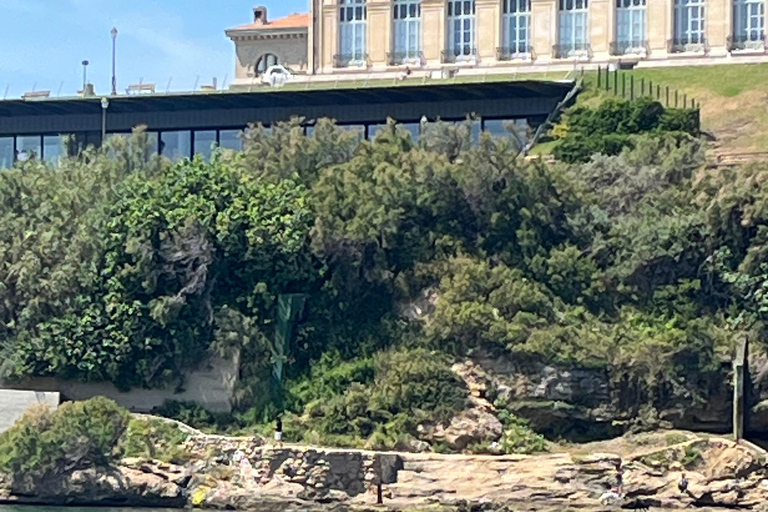 Marseille: Kurs auf das Chateau d'If und die Frioul-Inseln