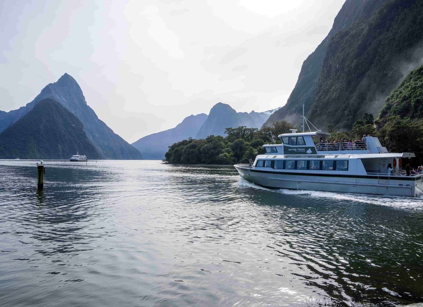 Fra Te Anau: Milford Sound bus, krydstogt og vandreture