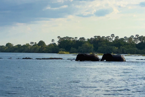 Victoria Watervallen: Cruise bij zonsondergang op de Zambezi rivier