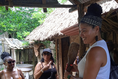 Cartagena: Tour de Palenque, show de dança, almoço, serviço de busca incluídoPasseio cultural em Palenque.