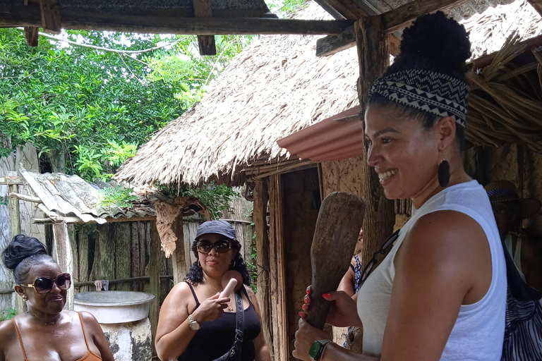 Cartagena: Tour de Palenque, show de dança, almoço, serviço de busca incluídoPasseio cultural em Palenque.