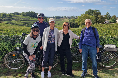 Bordeaux: St. Emilion wijn- en e-biketour met lunch