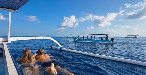 Lovina: Dolphin Observe & Snorkeling with Optional GoPro