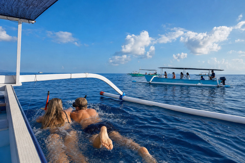 Lovina: Dolphin Observe & Snorkeling with Optional GoPro Private Dolphin Tour Without GoPro - Meeting Point At lovina