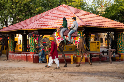 Jantar na aldeia de Jaipur Chokhi Dhani com transferes com guia