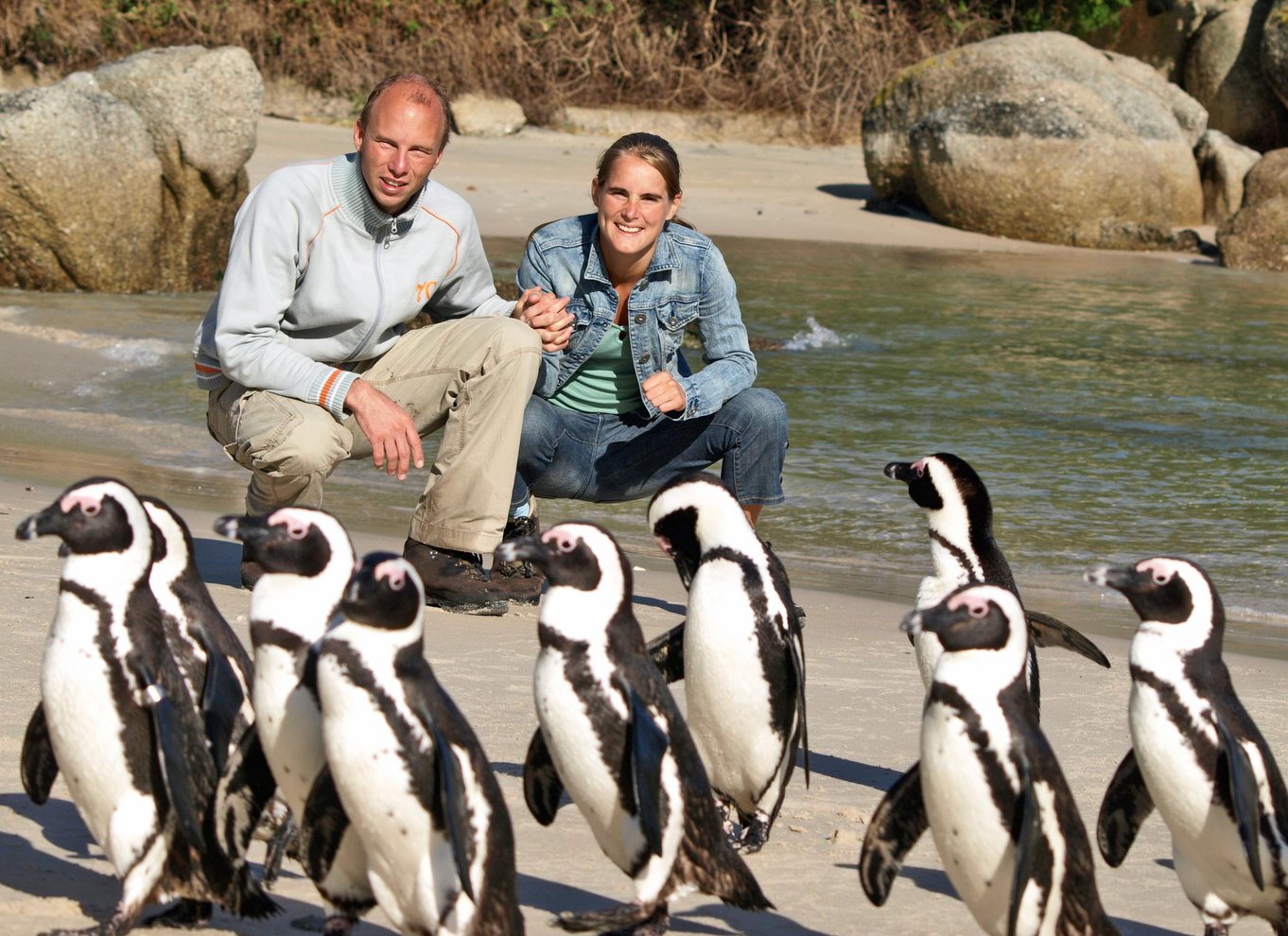 Kapstaden: Halvdagstur til Kap Det Gode Håb og pingvinkolonien