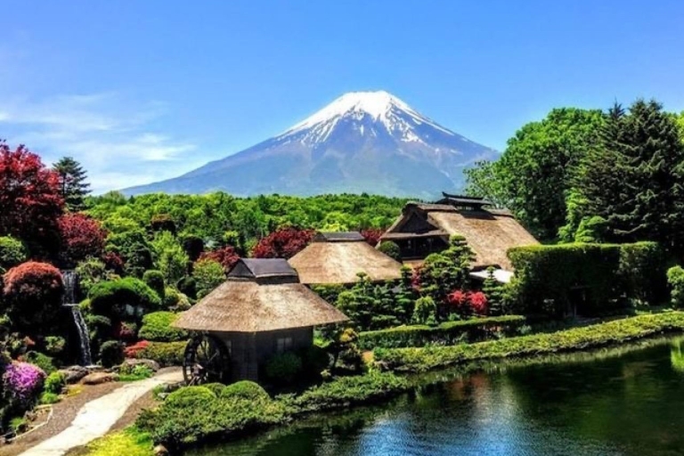 Excursión Privada Guiada por el Monte Fuji y Hakone