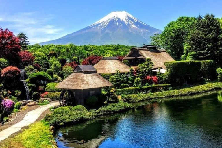 Prywatna wycieczka z przewodnikiem po górze Fuji i Hakone