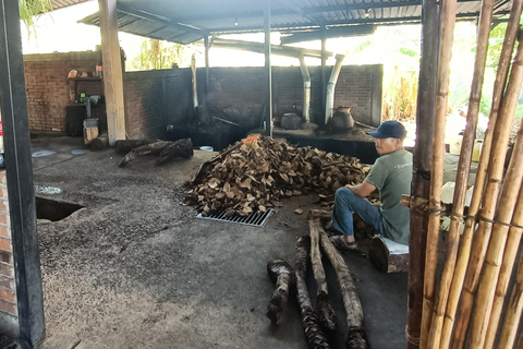 Z Puerto Escondido: Gataway do Oaxaca w jeden dzień.