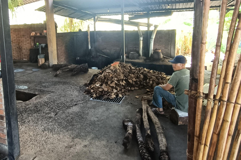 Depuis Puerto Escondido : Gataway à Oaxaca en une journée.