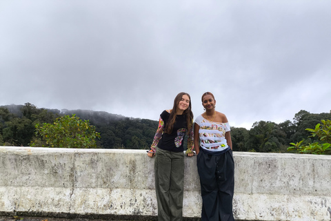 Chiang Mai: Pro Private Driver Service with Custom Itinerary