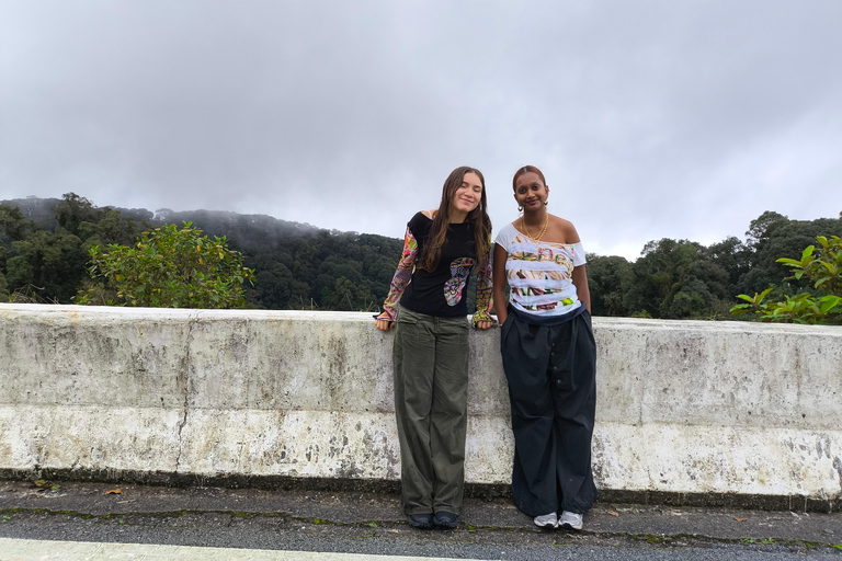 Chiang Mai: Pro Private Driver Service with Custom Itinerary