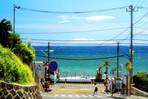 En dags privat skräddarsydd guidad tur i KamakuraEn dags privat skräddarsydd guidning med egen guide i Kamakura