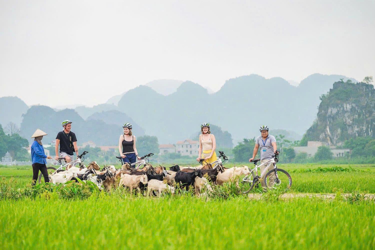 11 Tage Tour Vietnam entdecken | Das Beste von Vietnam sehenEntdecke Vietnams Top-Attraktionen im pulsierenden Süden