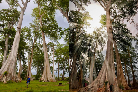 Secret Gili's Lombok: Gili Kondo, Kapal, Petagan, Bidara Start From: Senggigi,Mangsit,Mataram,Airport Lombok