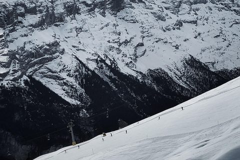 Schweiz: snöskovandring privat tur