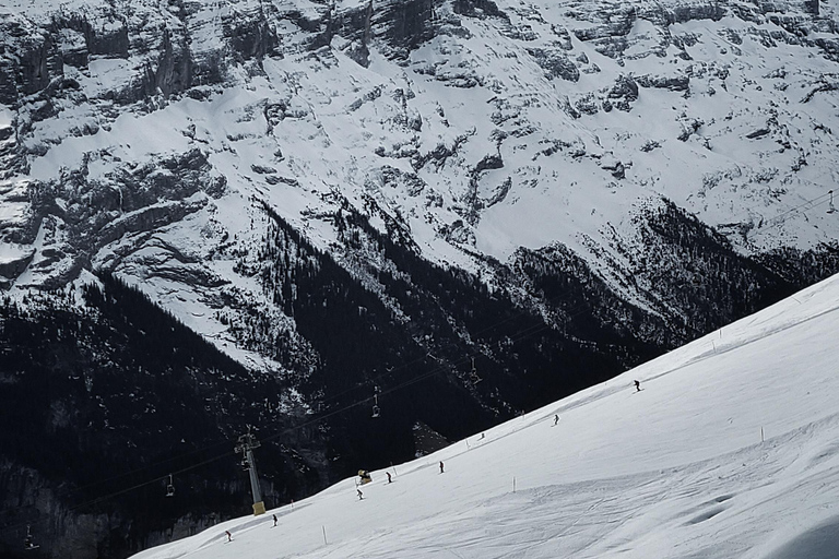 Schweiz: snöskovandring privat tur