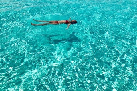 Playa del Carmen: On Board to Cozumel Tour with Lunch
