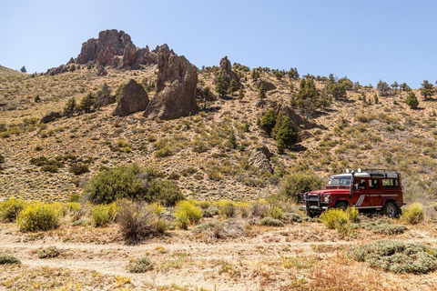 Bariloche: Small-Group Patagonian Steppe ATV Adventure