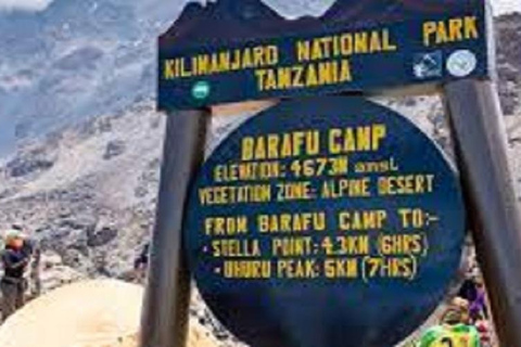 7 DAYS MACHAME ROUTE MOUNT KILIMANJARO CLIMBING