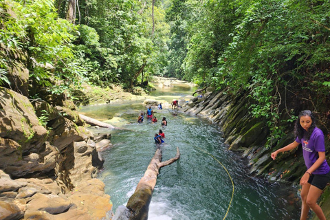 Trinidad: Excursión a la Cascada de Aripo con experiencia de natación