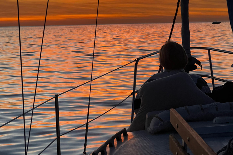 Excursion en bateau sur les lions de mer avec un guide expérimenté BYOB