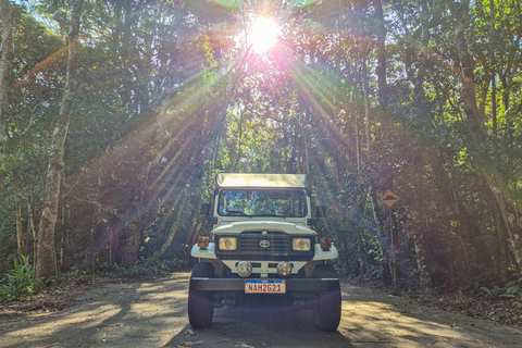 Jeep&#039;n&#039;Culture: Rocinha Favela and Tijuca Rainforest TourFrom South Zone or Downtown - French