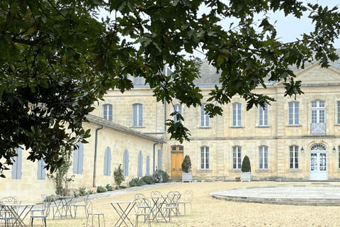 Bordeaux: Tour dei vini e dei vigneti di Saint-Émilion
