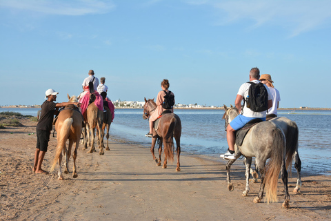 Djerba One Day Package : horse, Camel and quad