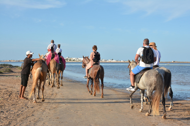 Djerba One Day Package : horse, Camel and quad