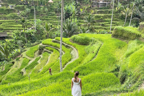 Tour privato di ubud Teracce di riso, templi e cascate segrete