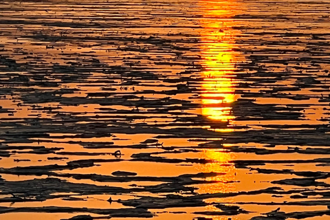 Semera: Top Danakil Depression Tour mit Sonnenaufgang und Sonnenuntergang