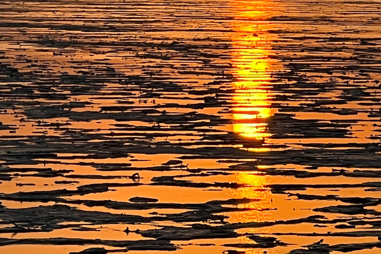 Semera: Top Danakil Depression Tour mit Sonnenaufgang und Sonnenuntergang