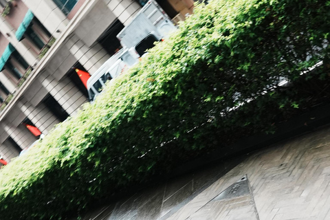 Shanghai: Suzhou Creek Industrial Heritage Walking Tour