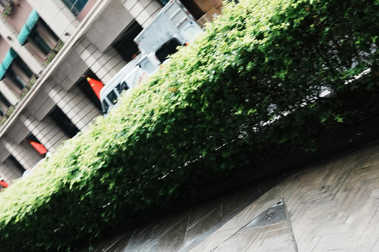 Shanghai: Suzhou Creek Industrial Heritage Walking Tour