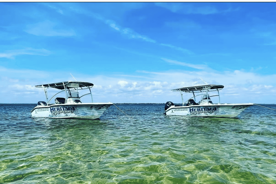 Panama City Beach: Private 2-stündige Delfin- und Schnorcheltour. Foto: GetYourGuide