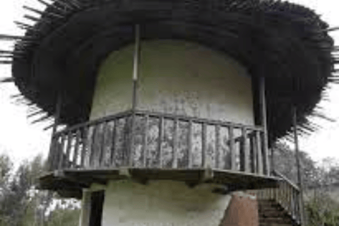 Addis Abeba: wycieczka po wzgórzu Entoto i targu Mercato