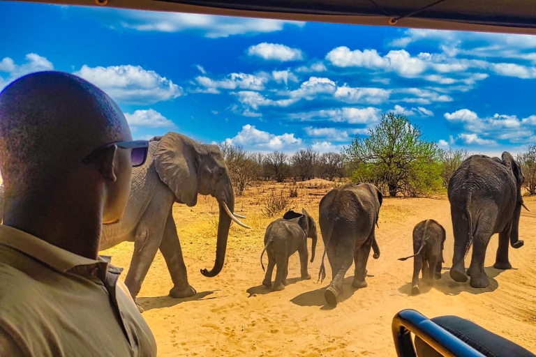 Zambezi National Park: 4x4 Game Drive near Victoria Falls (Copy of) Small Group Tour