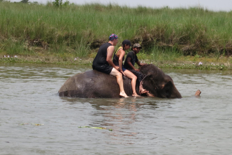 Chitwan Jungle Safari 2 Nuits 3 Jours