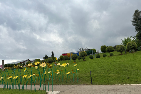 Addis Ababa Layover Tour: Unity Park, Coffee & Local Lunch