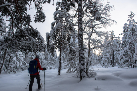 Espoo: Visita guiada com raquetes de neve no Parque Nacional de Nuuksio